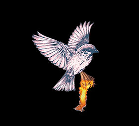 Olga Website_edited.jpg